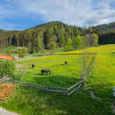 Huberhof 8 By Alpenidyll Apartments Schladming Εξωτερικό φωτογραφία