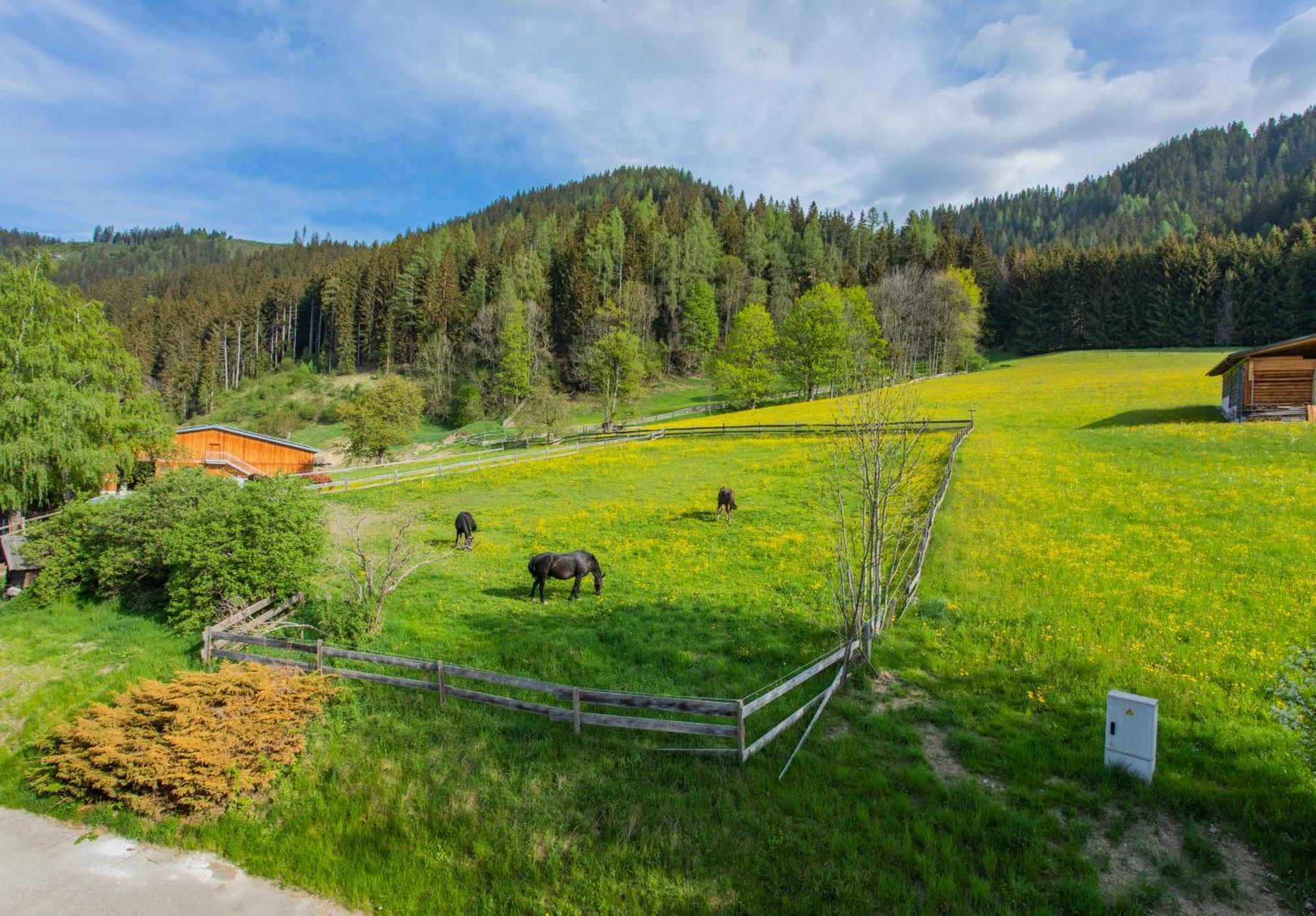 Huberhof 8 By Alpenidyll Apartments Schladming Εξωτερικό φωτογραφία